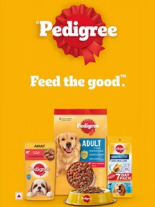 Why Choose PEDIGREE® for Your Dog's Nutrition