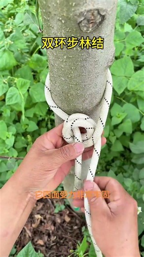 The king of knots, the double-loop Bollinger knot is very strong and strong. It can be used in m