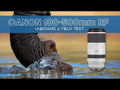 Unboxing my new Canon 100-500mm RF lens and testing it for wildlife photography