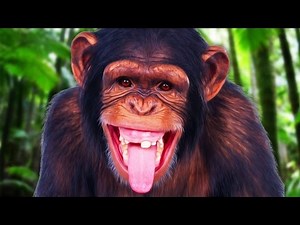 SASSIEST MONKEY! | Chimbot #2