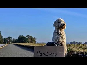 Deutschland ist eine Bundesrepublik - Deutschland Lied Deutsch lernen Learn German