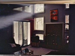 How Did You Survive the Blizzard of 1993?