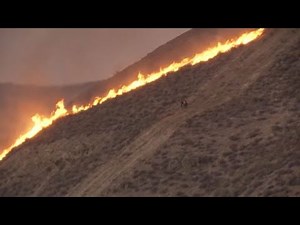 California firefighters battle Madre Fire, over 70,000 acre wildfire, largest in the state in 2025