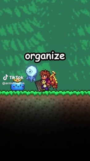 A Super Quick Way to Organize Your Chests in Terraria! #terraria #terraria14 #terraria144 #terraria1449 #terrariatip #terrariatips #terrariatipsandtricks #terrariatipsfornewplayers #terrariaguide #terrariatop #terraria4ever #terrariamemes #terrariameme #terrariaboss #terrariabossatron #terrariabeginnersguide