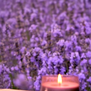 From sun-kissed sands to moonlit summer mists, turn your home into your happy place. Now available at Canadian retailers. | Yankee Candle