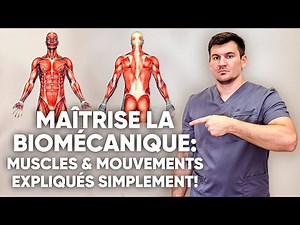 Comment fonctionnent vraiment les muscles ? Découvre la biomécanique du mouvement