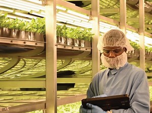 'World’s Largest Indoor Vertical Farm' Keeps Growing In Newark