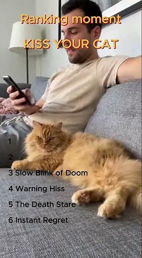 Cutest American Cat Kiss Moments 😻🇺🇸 #cat #usa #cute #catkisses #pets
