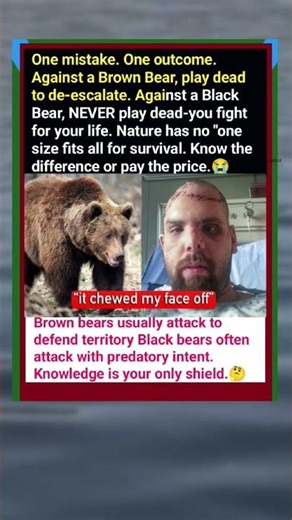😱♥️This is why hunters play dead. It actually works.#bear #facts #omg#animal😭