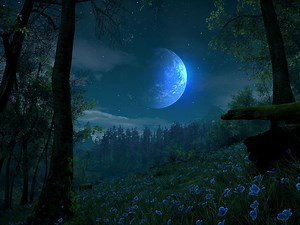 Creating a Dynamic Sky in Unity news