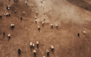 【音乐推荐】《Love & War》 人声和旋律比较完美