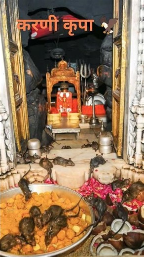 Tha syo arj kra |#karni #karnimataofficial #desnoke #bhajan #bhaktisong #trending #ytshorts #explore