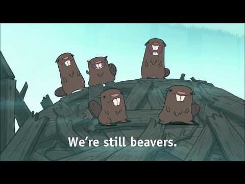 Every time there was a Beaver in Gravity Falls