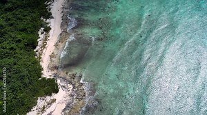 Drone footage flying along a beach as waves in a turquoise ocean crash over a coral reef in the Caribbean (Cayman Islands) with native forest and palm trees stretching along the beach.