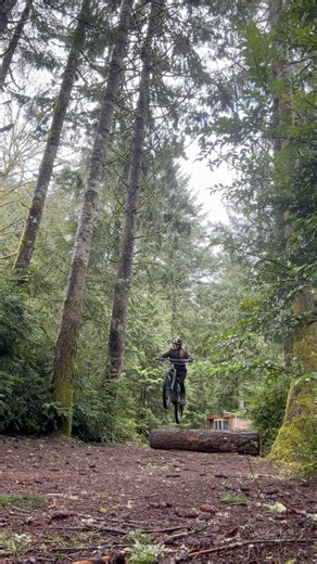 Happy S A T U R D A Y ! #ebike #snow #bikeride #fun #log jump