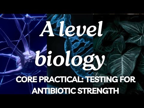 A Level Biology Edexcel A SNAB: Antibiotics Practical