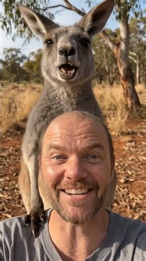 ANOTHER INTOXICATED DAY IN THE OUTBACK MATE 🍺