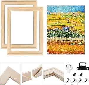 2 Pack Canvas Stretcher Bars Kit 12x16 Inch Removable Canvas Wooden Frames for Prints, Gallery Oil Paintings, Paint by Numbers & Poster
