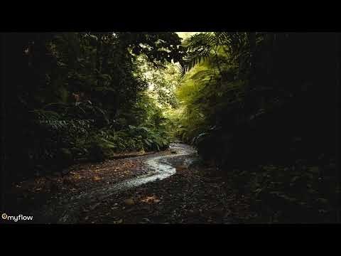 PMR Tutorial DE inkl. Regengeräusche