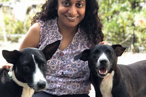 A Better Life For India's Stray Animals