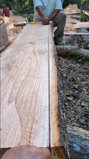 Don't make this mistake when marking wood 😬😱 #chainsaw #stil #wood #asmr