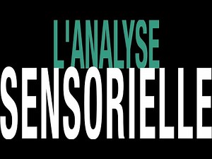 L'analyse sensorielle