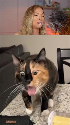 Try Not To Laugh Challenge 761