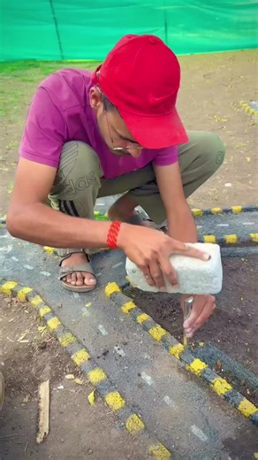 Create Your Own Mini Dhaba: Step-by-Step Guide