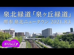 泉北緑道 「泉ケ丘緑道」 堺市 泉北ニュータウン 2021_R3