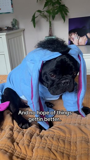 Eeyore Quotes: It Could Be Worse