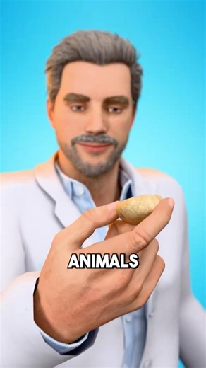 Turning Fossils Back Into Life😱