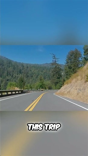 Found the Town of Weed on the Bigfoot Highway! #weirdamerica #roadtrip #california