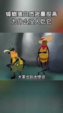 蟑螂蛋白質含量那麼高，為什麼沒人吃它？#shorts | #紀錄片 #有趣 #creative