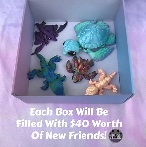 Reptile Mystery Box: 3D Printed Articulated Fidget Toys - Etsy