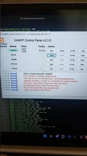 BASEDEDATOS SQL DATABASE CURSO xampp
