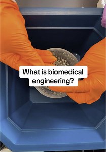 Understanding Biomedical Engineering: A Daily Passion