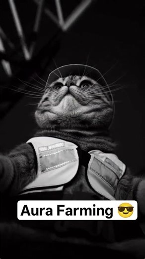 Sigma Infinity ♾️♾️♾️