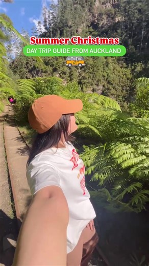 Discover a Magical Kiwi Christmas Road Trip from Auckland