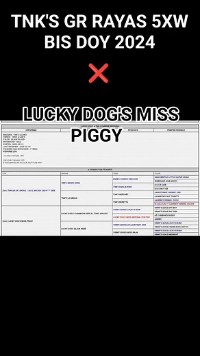 9.1K views · 147 reactions | TNK'S & LDK'S COMBINE BREEDING 2025 https://apbt.online-pedigrees.com/modules.php?name=Public&file=printPedigree&dog_id=632650 | LUCKY LOPEZ | Facebook