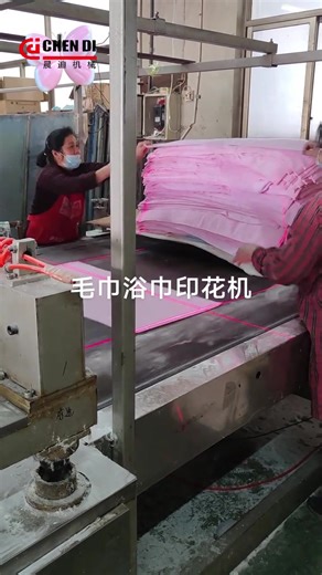 High-Speed Beach Towel Printing Machine Overview