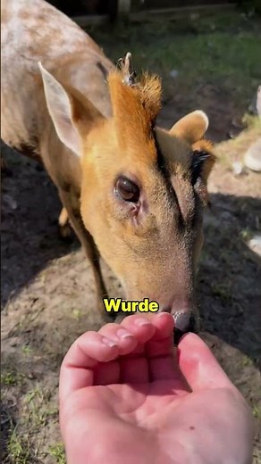 Luxury fragrance with a deadly price