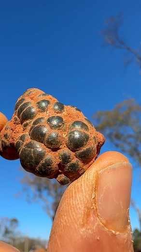 Have you ever seen a Botryoidal Hematite? 👀 This was found at Magnet Cove in Arkansas. Whaaat!!! Thank you to Avant Mining LLC 💎⚒💎 | The Crystal Collector