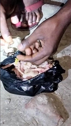 Top Survival Fishing Skills Every Angler Should Know