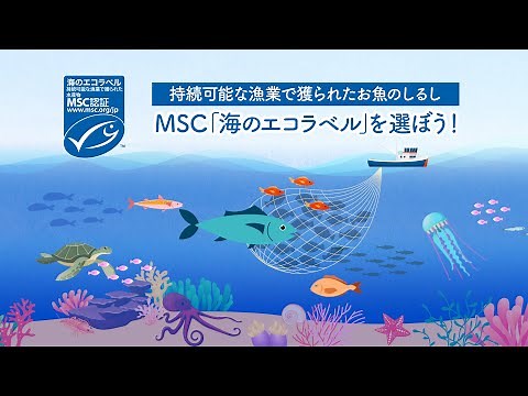 持続可能な漁業で獲られたお魚のしるし MSC「海のエコラベル」を選ぼう！