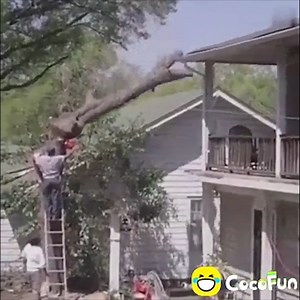 TOP Trending Funny CoCoFUN #6 | Lonely memes