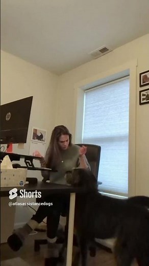 Watch this Seizure Alert Dog in Action #short, #servicedogs, #seizureawareness