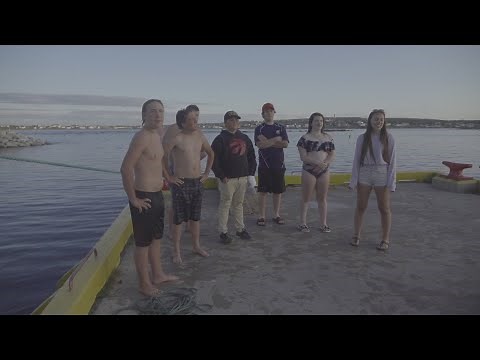 Musgrave Harbour: Close Encounters of the Best Kind