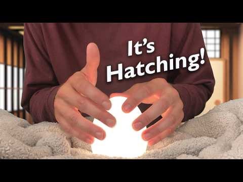 Your Pokemon Egg Finally Hatches! #asmr #pokemon