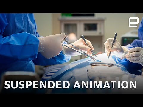 Researchers have placed humans in suspended animation