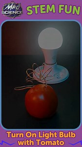 Watch the Video! A tomato battery is a simple electrochemical cell...